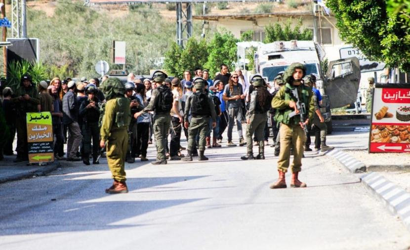 450 guava trees cut down near Jenin in a day of attacks