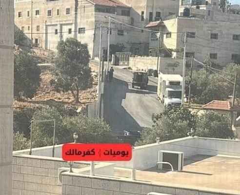 Au moins 11 Palestiniens arrêtés lors de raids à l'aube en Cisjordanie