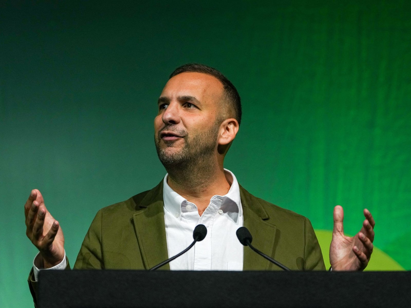 Green party leader seeks rule changes after Zionism vote