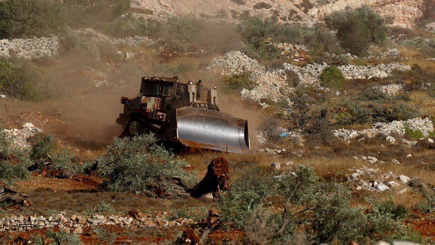 Rabbi permits settlers to take Palestinian olives in West Bank