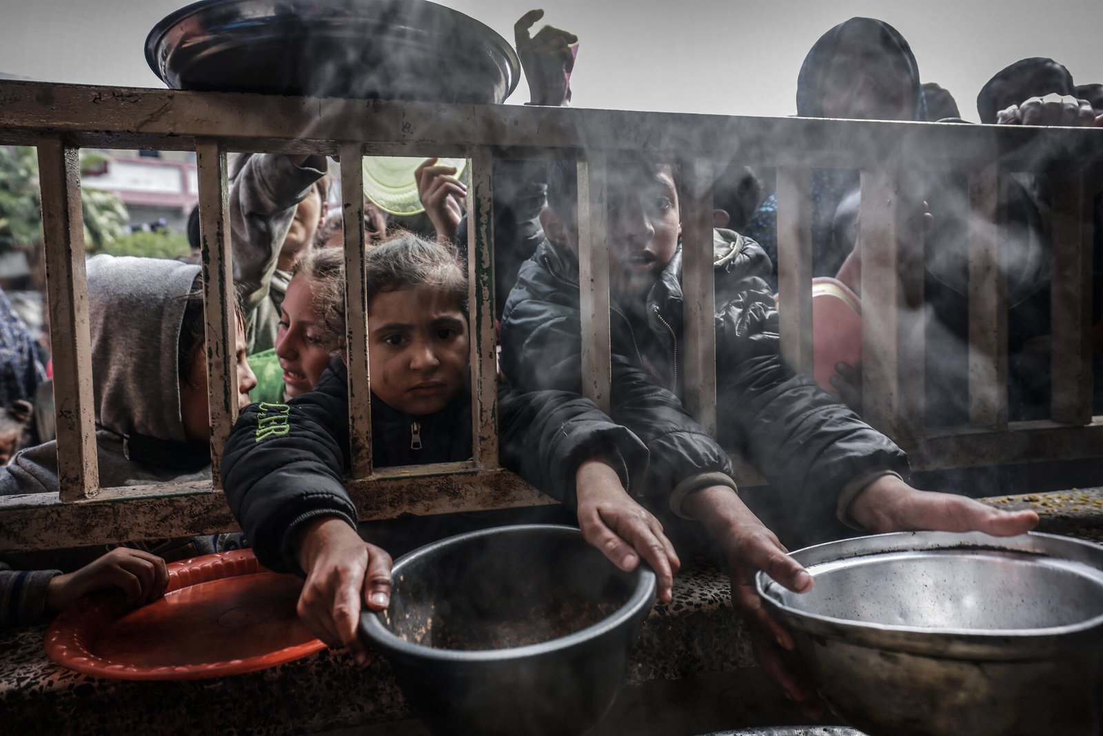 UN experts condemn FAO over Gaza official contract